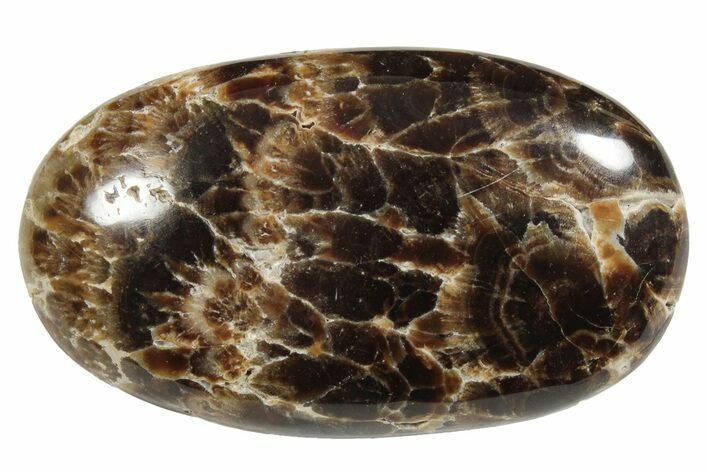 Polished Chocolate Calcite Palm Stone - Pakistan #220954